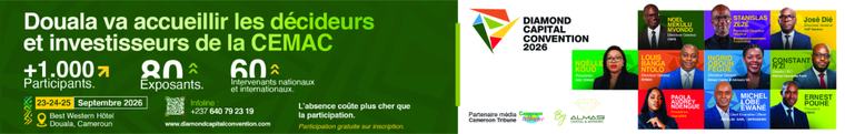 Cameroun â Etats-Unis: Des investissements pour consolider lâamitiÃĐ