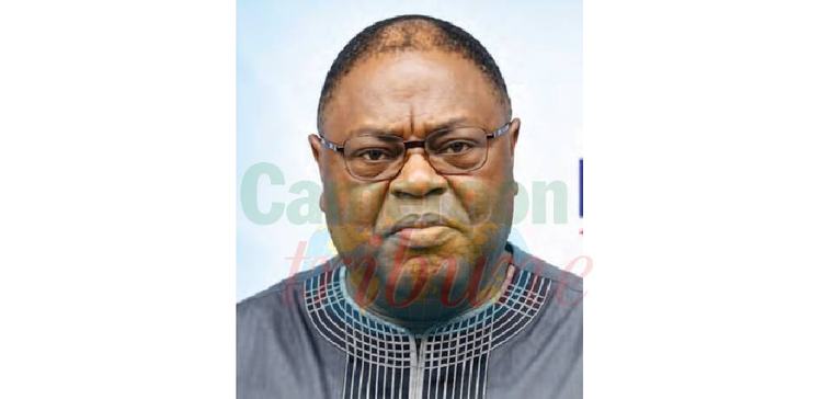 ÂŦ Le Cameroun a les rÃĐserves, il lui manque l'usine Âŧ