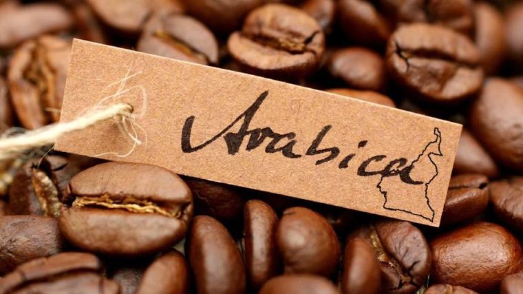 Café : l’arabica camerounais défie la baisse des cours mondiaux